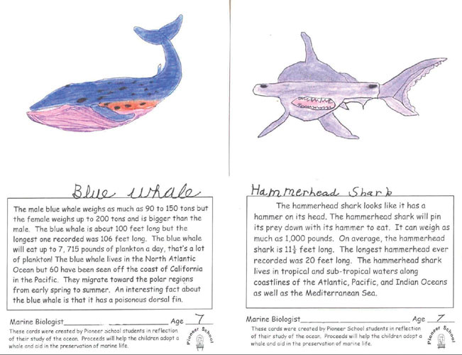 Blue Whale and Hammerhead Shark